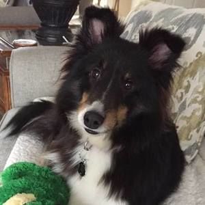 Meet your Posher, Diane